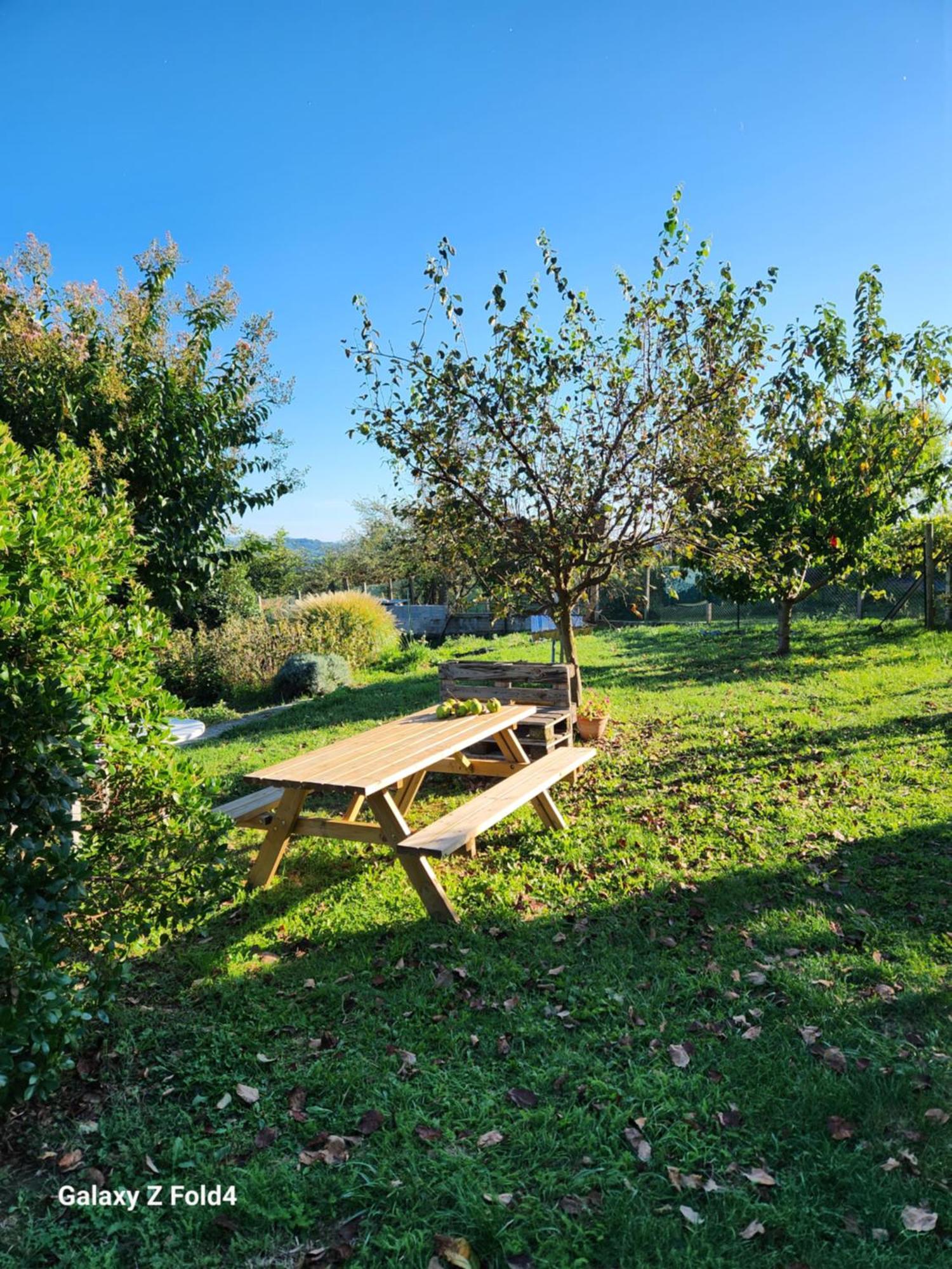 Appartement figuet 3 à Chateauneuf-de-Galaure Extérieur photo